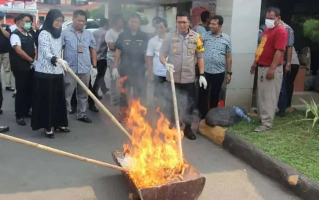 BB Pengungkapan Kasus Narkotika di Tangerang Dimusnahkan BB Pengungkapan Kasus Narkotika di Tangerang Dimusnahkan