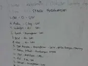 Data Korban Demonstrasi Tolak UU KPK dan RKUHP Di RS Pertamina Data Korban Demonstrasi Tolak UU KPK dan RKUHP Di RS Pertamina