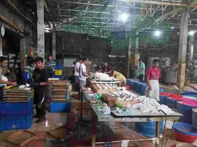BNN Dampingi BPOM Geledah Pabrik Tahu Berformalin BNN Dampingi BPOM Geledah Pabrik Tahu Berformalin