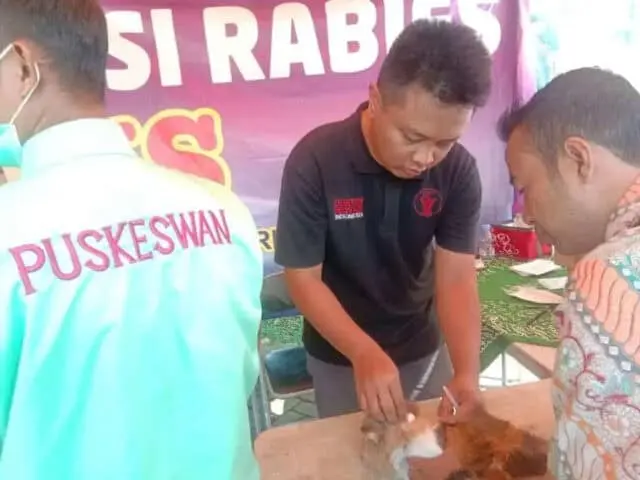 Cegah Rabies, Puskeswan Tangsel Vaksinasi Gratis di 7 Kecamatan Cegah Rabies, Puskeswan Tangsel Vaksinasi Gratis di 7 Kecamatan