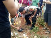 Jasad Bayi Dalam Kantong Plastik Hampir Dimakan Kucing Jasad Bayi Dalam Kantong Plastik Hampir Dimakan Kucing