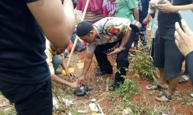 Jasad Bayi Dalam Kantong Plastik Hampir Dimakan Kucing Jasad Bayi Dalam Kantong Plastik Hampir Dimakan Kucing