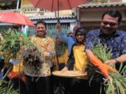 Panen Jahe Hingga Nikmati Olahannya di Kota Tangerang Panen Jahe Hingga Nikmati Olahannya di Kota Tangerang