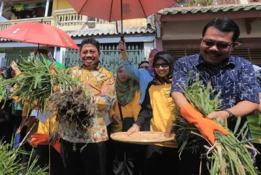 Panen Jahe Hingga Nikmati Olahannya di Kota Tangerang Panen Jahe Hingga Nikmati Olahannya di Kota Tangerang