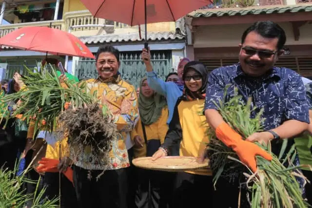 Panen Jahe Hingga Nikmati Olahannya di Kota Tangerang Panen Jahe Hingga Nikmati Olahannya di Kota Tangerang