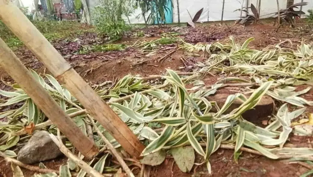 Bupati Geram, Sampah Berserakan di Gemilang Tangerang Festival Bupati Geram, Sampah Berserakan di Gemilang Tangerang Festival