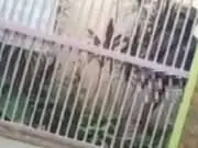 VIRAL, Aksi Pria Onani Depan Kost Putri di Kota Serang Aksi Pria Onani Depan Kost Putri di Kota Serang