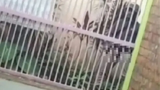 Aksi Pria Onani Depan Kost Putri di Kota Serang Aksi Pria Onani Depan Kost Putri di Kota Serang