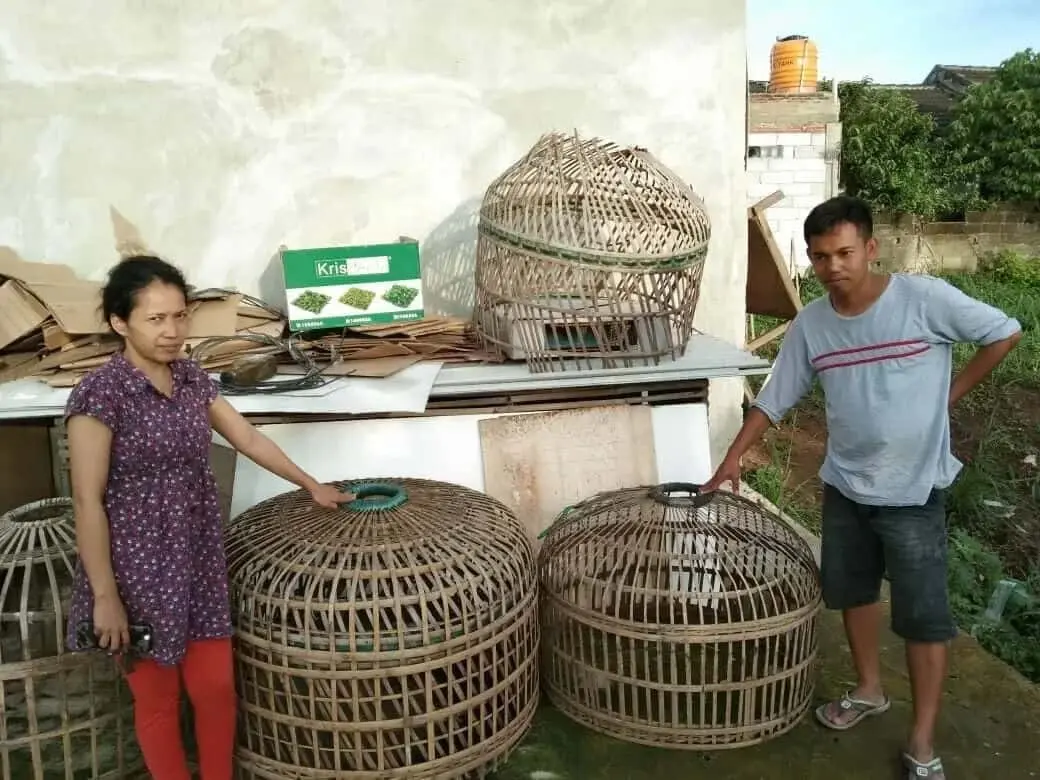 Ayam Seharga Puluhan Juta Digondol Maling di Tangerang Ayam Seharga Puluhan Juta Digondol Maling di Tangerang