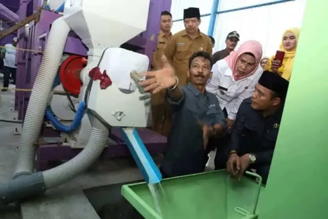 Produksi Surplus, Pemkab Serang Kampanyekan Beras Lokal Produksi Surplus, Pemkab Serang Kampanyekan Beras Lokal