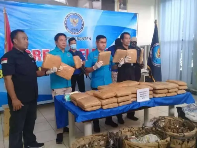 Ganja 50 Kilogram Sitaan BNN, Milik Warga Binaan Salah Satu Lapas di Banten Ganja 50 Kilogram Sitaan BNN, Milik Warga Binaan Salah Satu Lapas di Banten