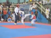15 Bibit Atlet Taurus Taekwondo Academy Ikuti Kejuaraan di Makzom CUP 2020 15 Bibit Atlet Taurus Taekwondo Academy Ikuti Kejuaraan di Makzom CUP 2020