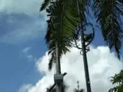 Wujudkan SMART CITY, Kota Tangerang Pasang 40 Titik Wifi Gratis di Taman Kota Wujudkan SMART CITY, Kota Tangerang Pasang 40 Titik Wifi Gratis di Taman Kota