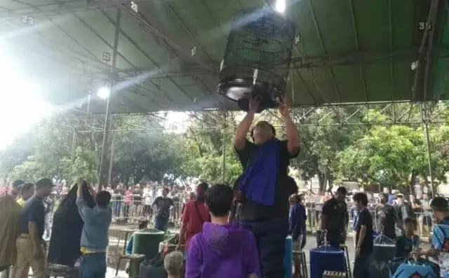 Ribuan Komunitas Ramaikan Festival Burung Berkicau Piala Wali Kota Tangerang Ribuan Komunitas Ramaikan Festival Burung Berkicau Piala Wali Kota Tangerang