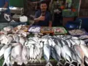 Sosial Distancing, Inovasi Belanja Produk Pasar dari Rumah Sosial Distancing, Inovasi Belanja Produk Pasar dari Rumah