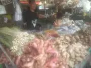 Cegah CORONA, Tanaman Obat Diburu Masyarakat Tangerang Untuk Jamu Cegah CORONA, Tanaman Obat Diburu Masyarakat Tangerang Untuk Jamu