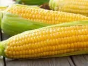 Penggunaan Serat Larut dari Jagung untuk Cokelat Rendah Gula Penggunaan Serat Larut dari Jagung untuk Cokelat Rendah Gula