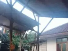 Banten Masuki Musim Panen Padi dan Jagung Banten Masuki Musim Panen Padi dan Jagung