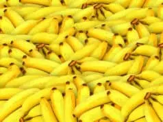 Khasiat Dan Manfaat Dari Kulit Pisang Khasiat Dan Manfaat Dari Kulit Pisang