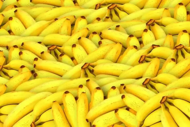 Khasiat Dan Manfaat Dari Kulit Pisang Khasiat Dan Manfaat Dari Kulit Pisang