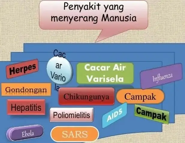 Mengenal Peranan Virus Bagi Kehidupan Mengenal Peranan Virus Bagi Kehidupan