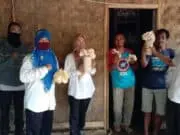 Jamur Tiram Tuai Berkah Di Tengah Pandemi Covid-19 Jamur Tiram Tuai Berkah Di Tengah Pandemi Covid-19