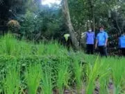 Hutan Kota Miliki Sarana Baru, Arief: Bisa Jadi Sarana Edukasi Hutan Kota Miliki Sarana Baru, Arief: Bisa Jadi Sarana Edukasi