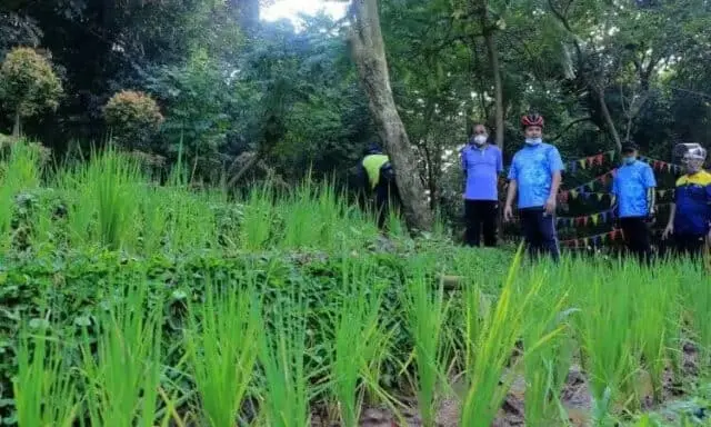 Hutan Kota Miliki Sarana Baru, Arief: Bisa Jadi Sarana Edukasi Hutan Kota Miliki Sarana Baru, Arief: Bisa Jadi Sarana Edukasi