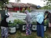 Ketahanan Pangan, Warga di Kampung Ciwaru Kini Panen Lele Di Tengah Covid-19 Ketahanan Pangan, Warga di Kampung Ciwaru Kini Panen Lele Di Tengah Covid-19