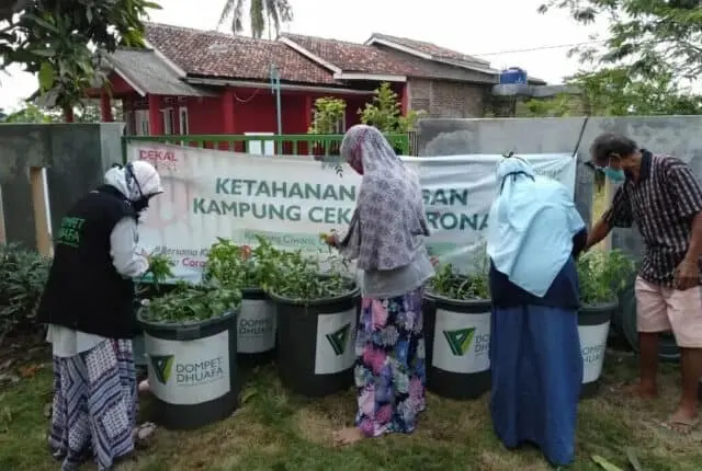 Ketahanan Pangan, Warga di Kampung Ciwaru Kini Panen Lele Di Tengah Covid-19 Ketahanan Pangan, Warga di Kampung Ciwaru Kini Panen Lele Di Tengah Covid-19