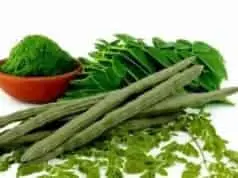 Nutrisi Dan Potensi Moringa Oleifera Nutrisi Dan Potensi Moringa Oleifera