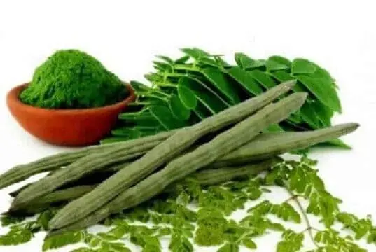 Nutrisi Dan Potensi Moringa Oleifera Nutrisi Dan Potensi Moringa Oleifera