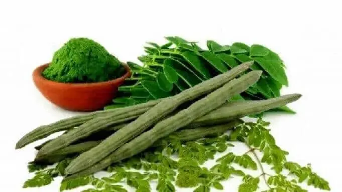 Nutrisi Dan Potensi Moringa Oleifera Nutrisi Dan Potensi Moringa Oleifera