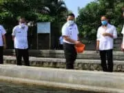 Wali Kota Tangerang Tinjau Lokasi Pembibitan Ikan dan Tanaman Holtikultura Wali Kota Tangerang Tinjau Lokasi Pembibitan Ikan dan Tanaman Holtikultura