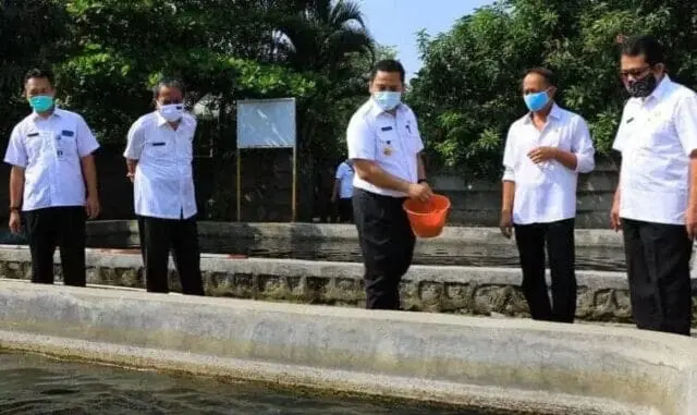 Wali Kota Tangerang Tinjau Lokasi Pembibitan Ikan dan Tanaman Holtikultura Wali Kota Tangerang Tinjau Lokasi Pembibitan Ikan dan Tanaman Holtikultura