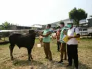 Jelang Idul Adha, Pemkot Tangsel Cek Kesehatan Hewan Kurban Jelang Idul Adha, Pemkot Tangsel Cek Kesehatan Hewan Kurban