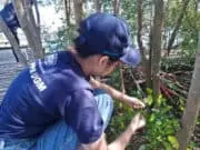 Mahasiswa KKN PPM UGM Mengembangkan Gel Hand Sanitizer Berbahan Olahan Mangrove Mahasiswa KKN PPM UGM Mengembangkan Gel Hand Sanitizer Berbahan Olahan Mangrove
