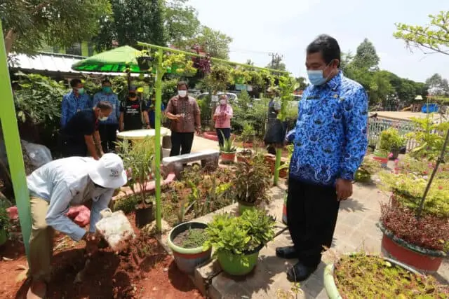 DKP Kota Tangerang Sebar Ratusan Ribu Bibit Tanaman Produktif DKP Kota Tangerang Sebar Ratusan Ribu Bibit Tanaman Produktif