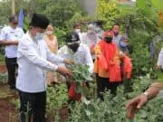 DKP Kota Tangerang Sebar Bibit Sayuran Buah Sebanyak 486 Ribu Polybag DKP Kota Tangerang Sebar Bibit Sayuran Buah Sebanyak 486 Ribu Polybag