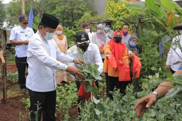 DKP Kota Tangerang Sebar Bibit Sayuran Buah Sebanyak 486 Ribu Polybag DKP Kota Tangerang Sebar Bibit Sayuran Buah Sebanyak 486 Ribu Polybag