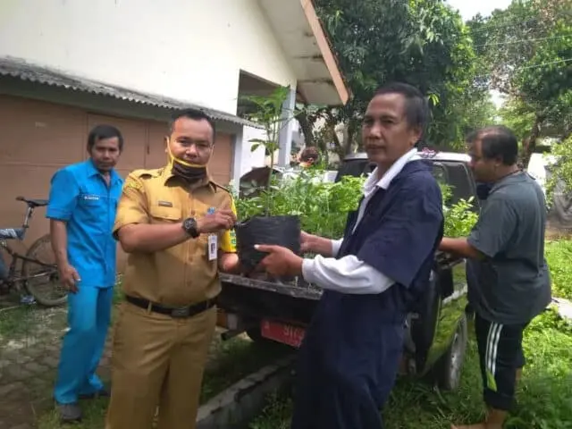 DKP Kota Tangerang Bagikan Bibit Sayuran ke Masyarakat Cipondoh DKP Kota Tangerang Bagikan Bibit Sayuran ke Masyarakat Cipondoh