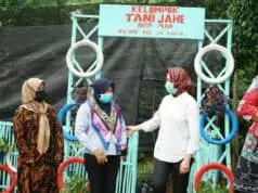 Airin Apresiasi Kelompok Tani Jahe di Lengkong Karya Airin Apresiasi Kelompok Tani Jahe di Lengkong Karya