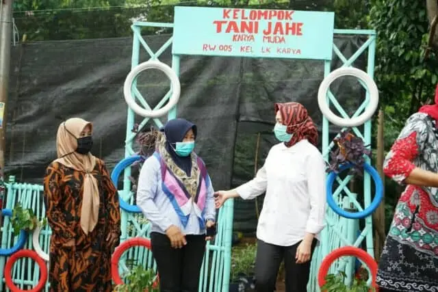 Airin Apresiasi Kelompok Tani Jahe di Lengkong Karya Airin Apresiasi Kelompok Tani Jahe di Lengkong Karya