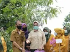 Airin Apresiasi Kinerja KWT Az-Zahra Airin Apresiasi Kinerja KWT Az-Zahra