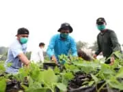 Urban Farming Sulap Lahan Kumuh Jadi Produktif di Bantaran Cisadane Urban Farming Sulap Lahan Kumuh Jadi Produktif di Bantaran Cisadane