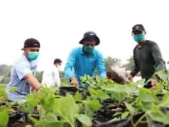 Urban Farming Sulap Lahan Kumuh Jadi Produktif di Bantaran Cisadane Urban Farming Sulap Lahan Kumuh Jadi Produktif di Bantaran Cisadane
