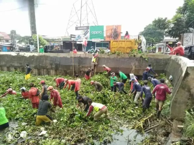 Antisipasi Banjir, DPU Tangsel Bersih-Bersih Enceng Gondok dan Lumpur Antisipasi Banjir, DPU Tangsel Bersih-Bersih Enceng Gondok dan Lumpur