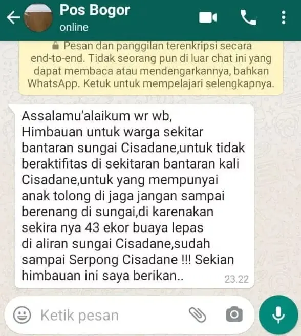 Viral, Beredar Informasi 43 Buaya di Lepas ke Sungai Cisadane Warga Pun Resah Viral, Beredar Informasi 43 Buaya di Lepas ke Sungai Cisadane Warga Pun Resah