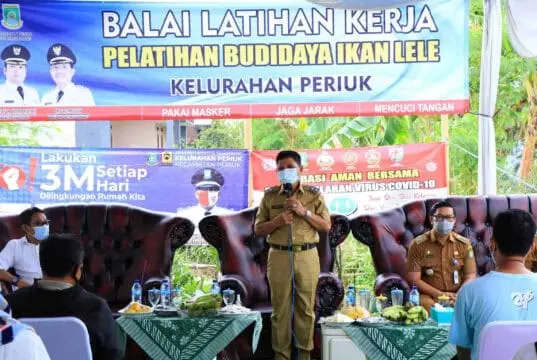 Pemkot Tangerang Lakukan Pelatihan Budidaya Agar Dapat Berkolaborasi Dengan Promosi Digital Pemkot Tangerang Lakukan Pelatihan Budidaya Agar Dapat Berkolaborasi Dengan Promosi Digital