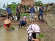 Keren, di Kecamatan Pinang Ada Lokasi Agrowisata Buat Selingkuh Keren, di Kecamatan Pinang Ada Lokasi Agrowisata Buat Selingkuh